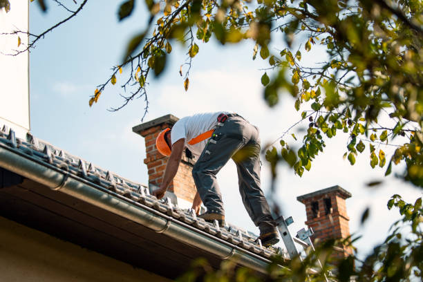 Best Roof Gutter Cleaning  in Lexington, MS