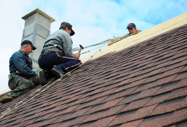 Professional Roofing Contractor in Lexington, MS