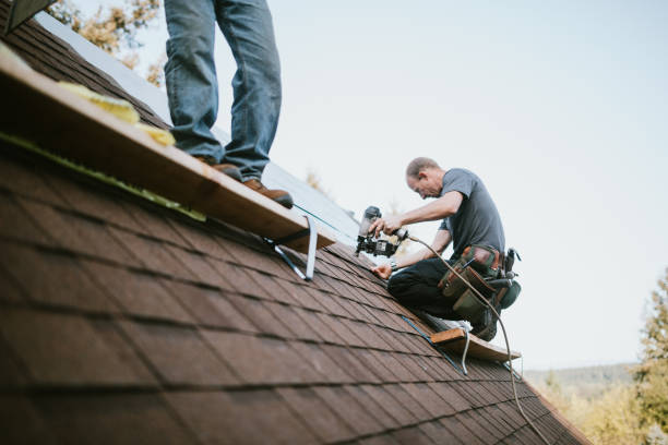 Best Shingle Roofing Installation  in Lexington, MS